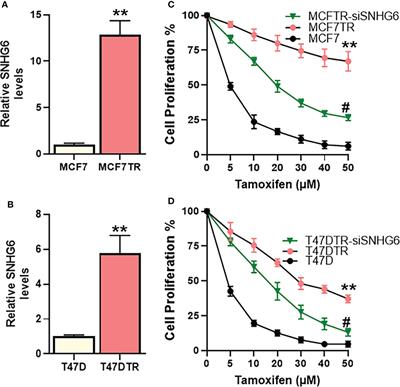 LncRNA SNHG6 sponges miR-101 and induces tamoxifen resistance in breast cancer cells through induction of EMT